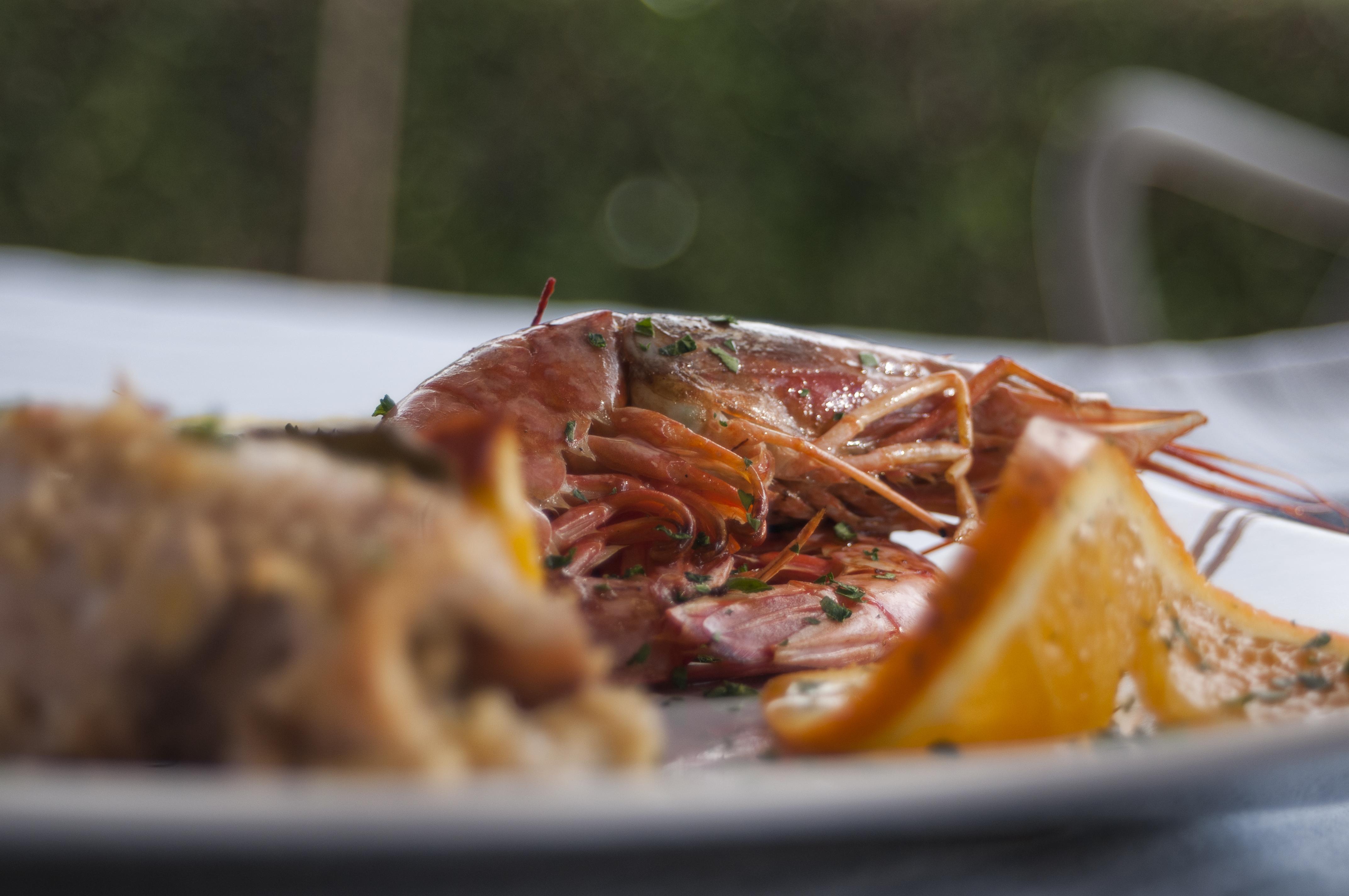מלון מנפי Relais Casina Miregia מראה חיצוני תמונה