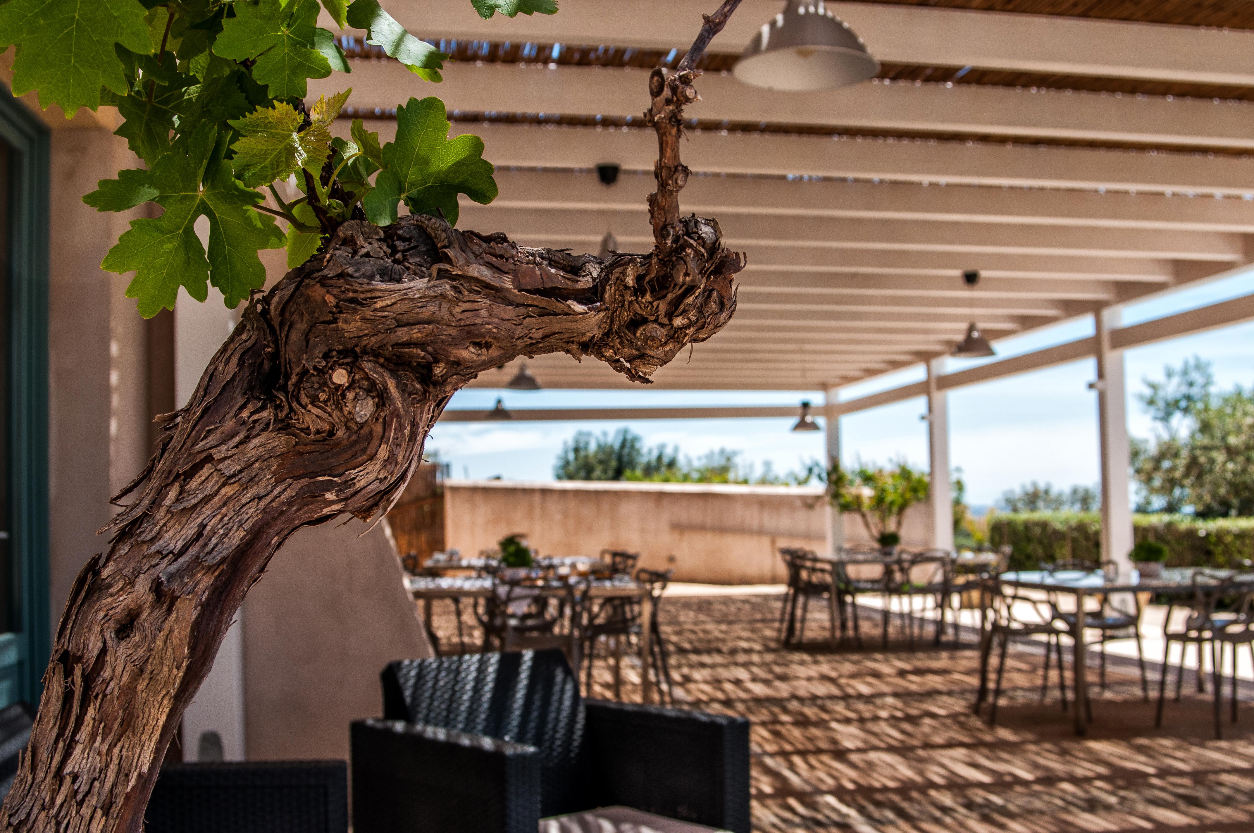 מלון מנפי Relais Casina Miregia מראה חיצוני תמונה