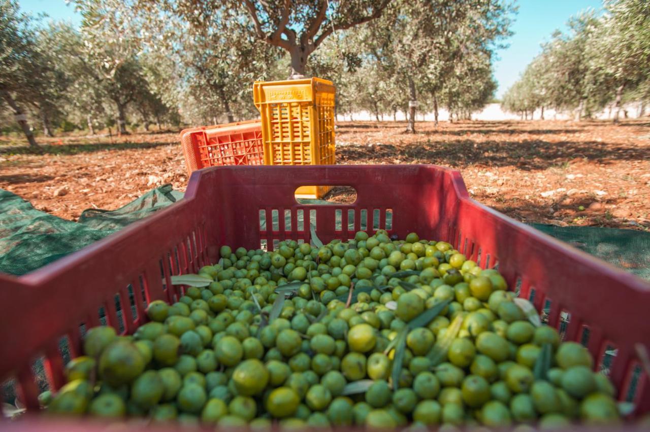 מלון מנפי Relais Casina Miregia מראה חיצוני תמונה