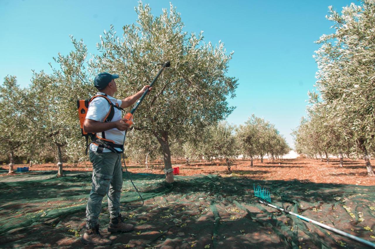 מלון מנפי Relais Casina Miregia מראה חיצוני תמונה