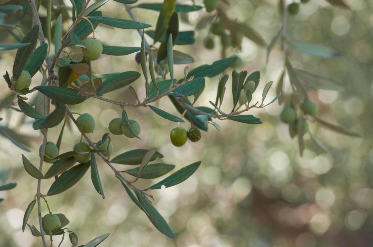 מלון מנפי Relais Casina Miregia מראה חיצוני תמונה