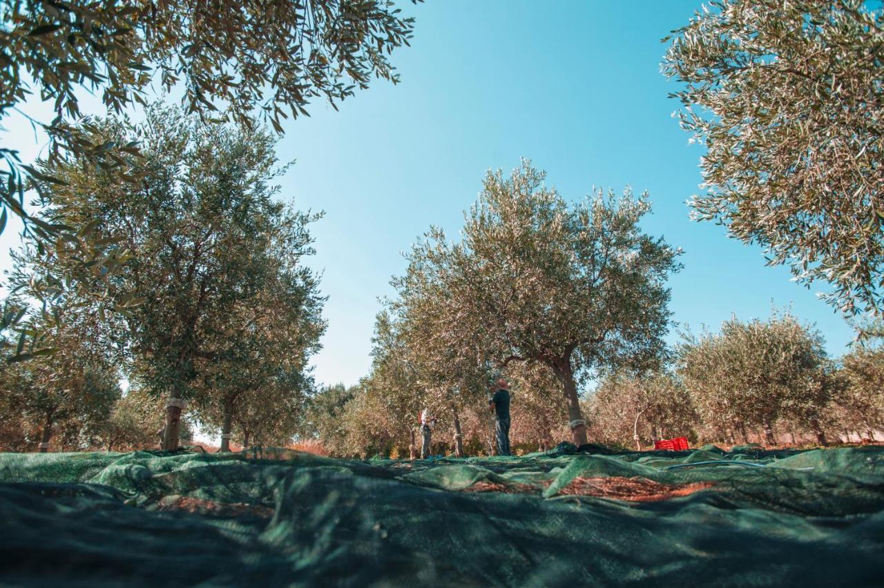 מלון מנפי Relais Casina Miregia מראה חיצוני תמונה